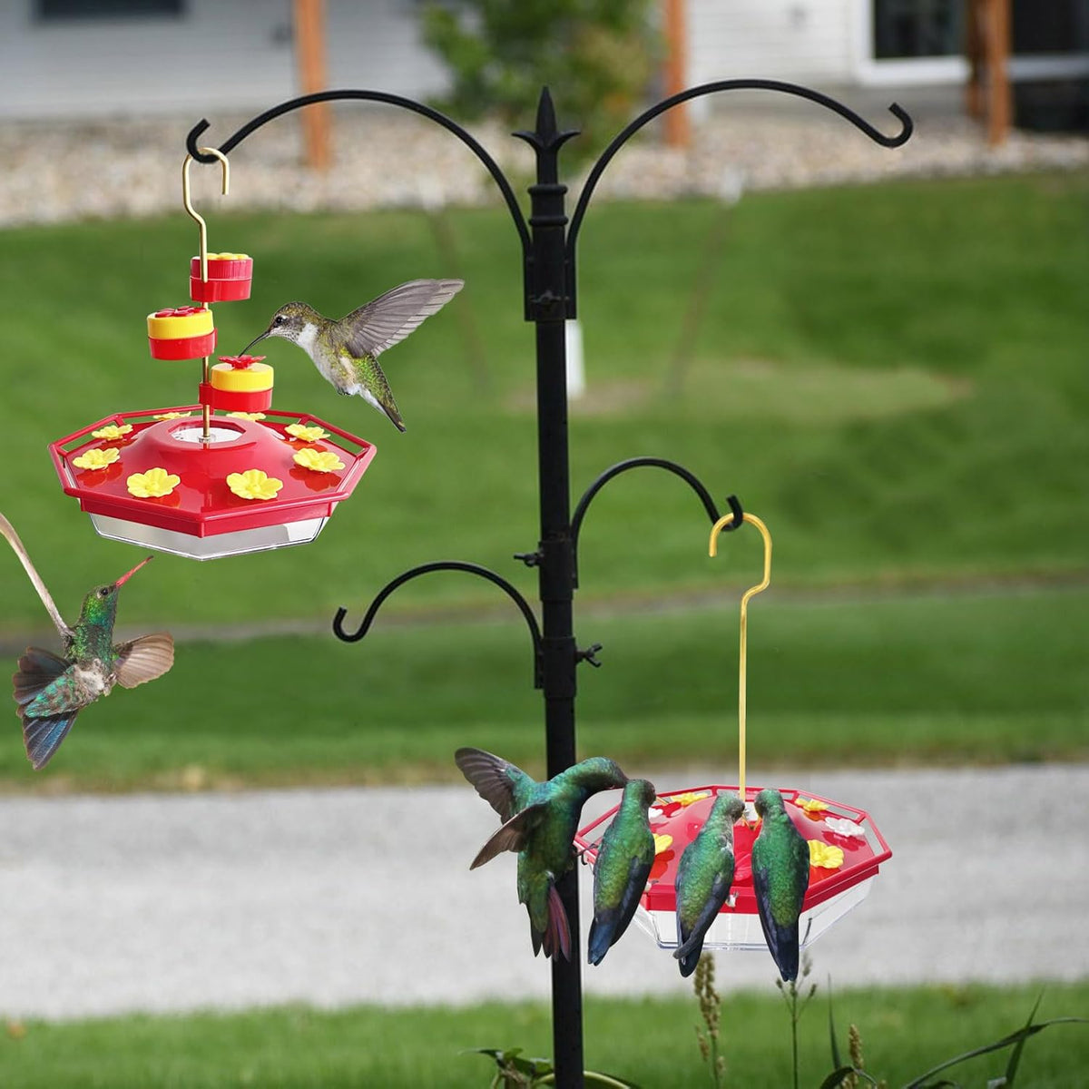Sweety Hummingbird Feeder - Libiyi