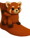 Raccoon