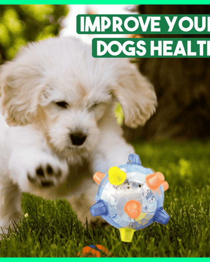 Libiyi™ Pet Ball  Endless Entertainment for Your Furry Friend! - Libiyi